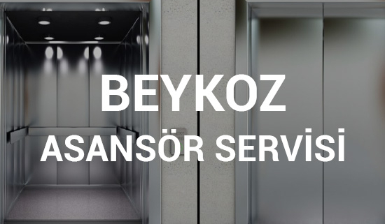 Beykoz Asansör Servisi