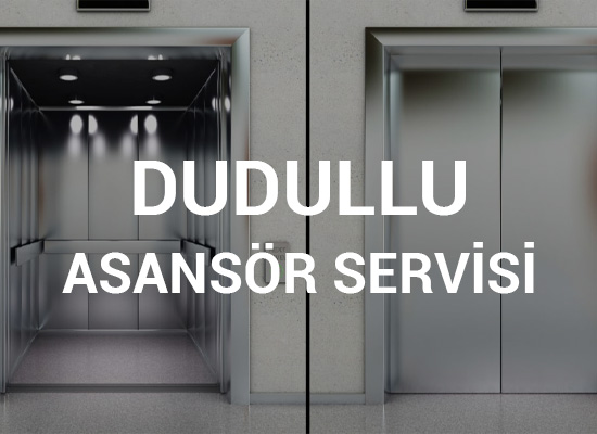 Dudullu Asansör Servisi